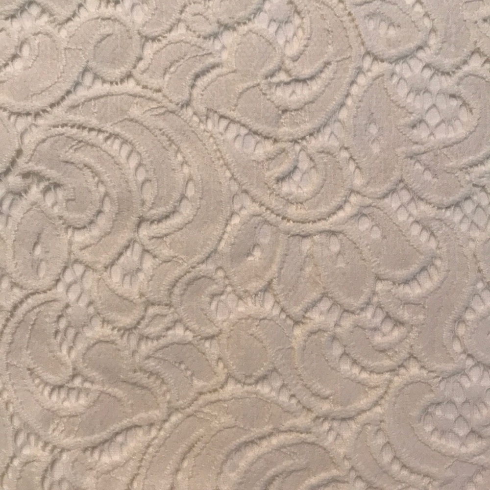 Banana Republic Lined Cream Lace Top NWOT - Picture 8 of 8